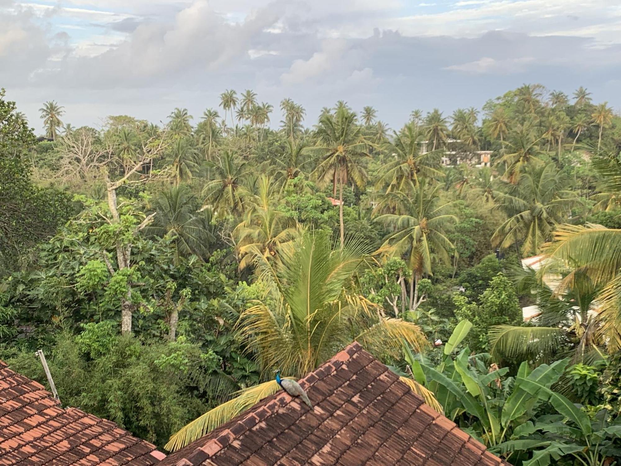 Arcadia Ocean View Apartment Unawatuna Exterior foto